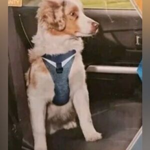 NWT Kurgo Adventure Go-Tech Dog Harness Sz Medium Black and Gray